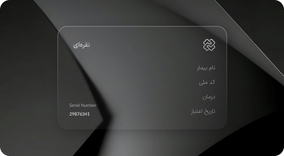 گارانتی نقره ای میخگ