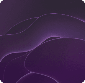 terms conditions top banner